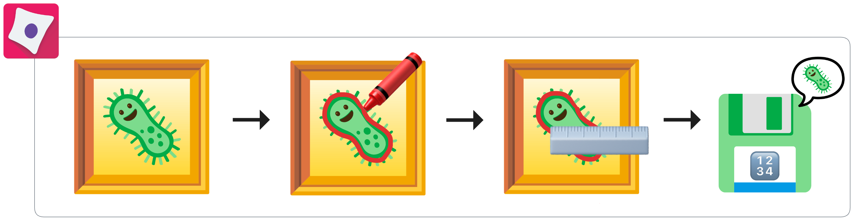 From microscopy images to single-cell feature measurements